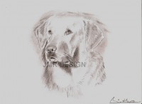 /album/fotogaleria-kresba/a3-jpg1/