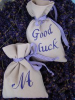 /album/fotogaleria-vysivanie/dsc02882-jpg1/